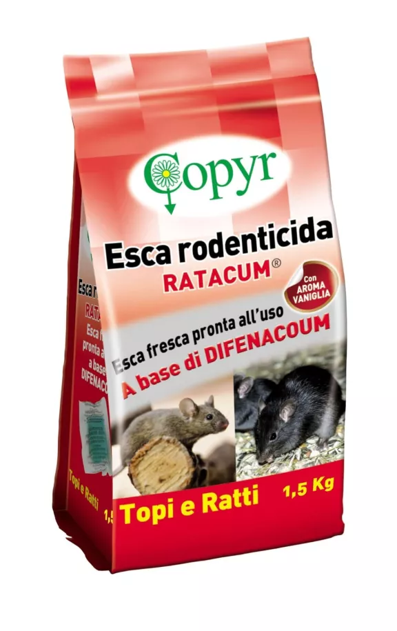 Trappola automontante per scarafaggi